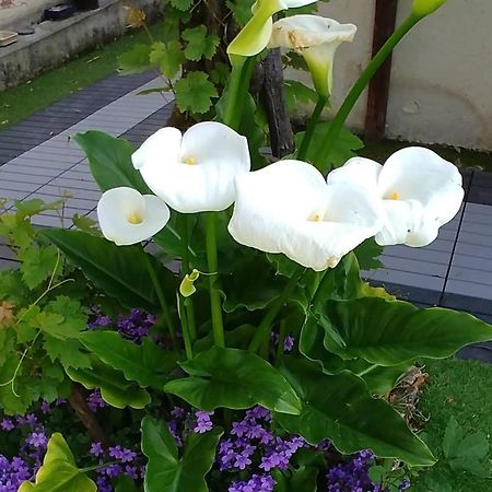 Great Family House, 80 M To The Sea, In Normandie Villa Hermanville-sur-Mer Ngoại thất bức ảnh