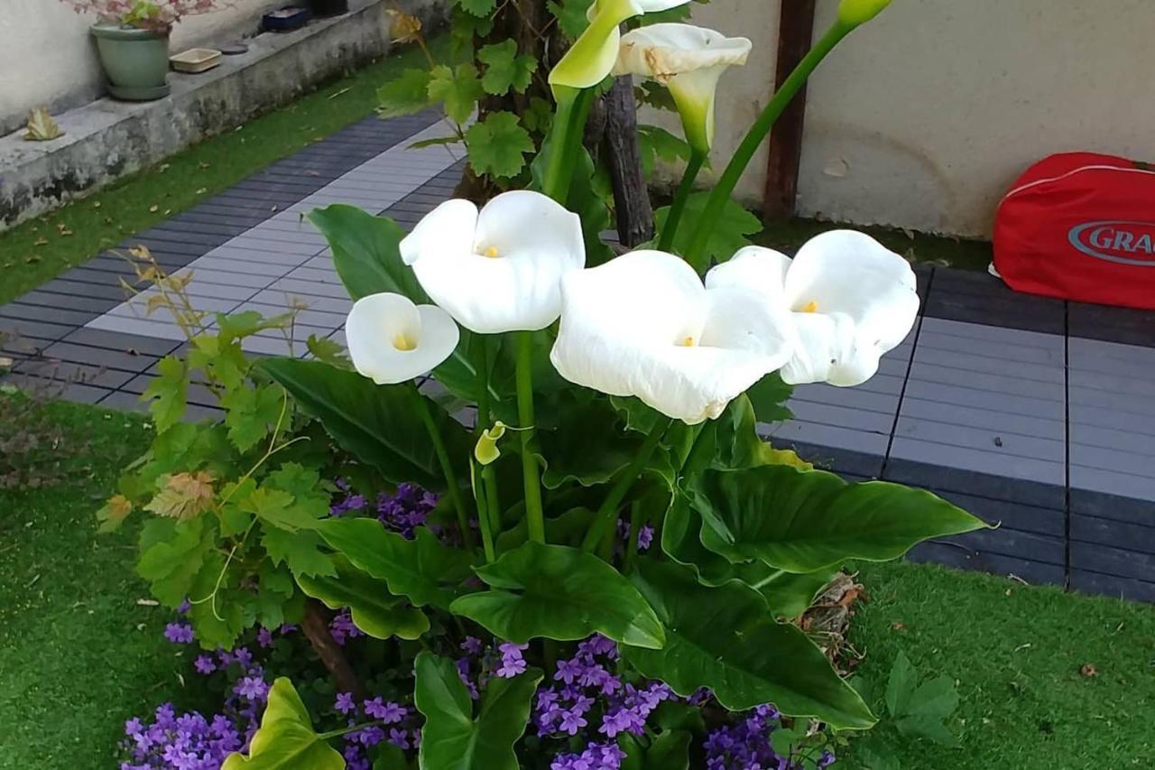 Great Family House, 80 M To The Sea, In Normandie Villa Hermanville-sur-Mer Ngoại thất bức ảnh